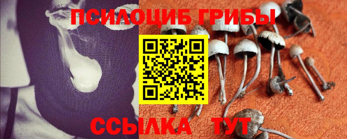 Псилоцибиновые грибы Cubensis  Вход с VPN  Ярославль 